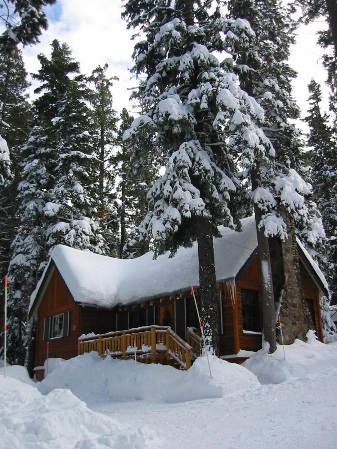 Tahoma Meadows - Sugar Pine Cabin Exterior foto