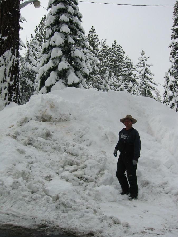 Tahoma Meadows - Sugar Pine Cabin Exterior foto